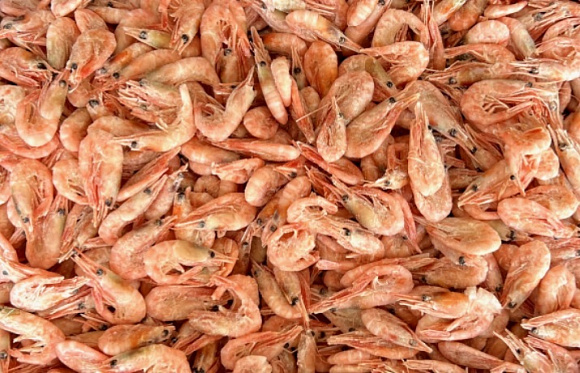 Креветка Северная в/м 300+, вес, гофрокороб, Мурманск (1*5кг)